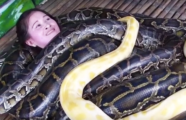 Massagem com cobras é mais nova moda mundial
