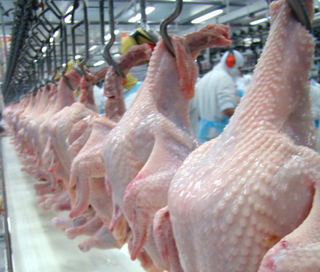 As três marcas de frango congelado fazem parte do conjunto que foi descoberto com problemas pelas autoridades brasileiras
