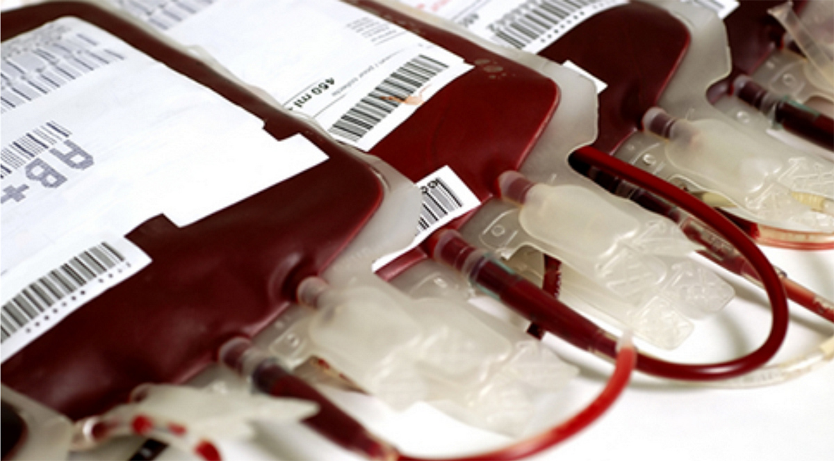 Já é possível produzir sangue artificial em larga escala