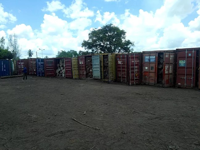 Pelo menos 2.080 metros cúbicos de madeira, transportados em 65 contentores e sem nenhuma cobertura documental, foram ontem apreendidos no distrito de Dondo