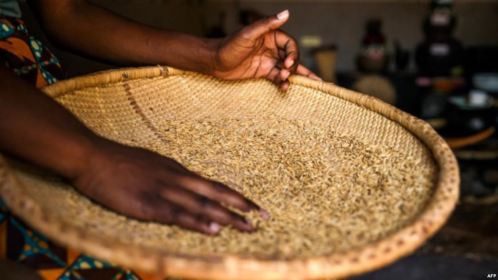 “Arroz do Povo” encontrado em quinta do ministro da Agricultura