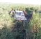 Uma tarde de tiros na fronteira da Ponta de Ouro, distrito de Matutuine, que resultou em dois mortos.  Dois agentes de fronteira, afectos ao Comando Provincial da PRM-Maputo