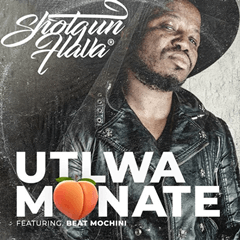 Shotgun Flava %E2%80%93 Utlwa Monate Ft. BeatMochini