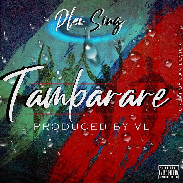 Pleising – Tambarare (2019) DOWNLOAD MP3