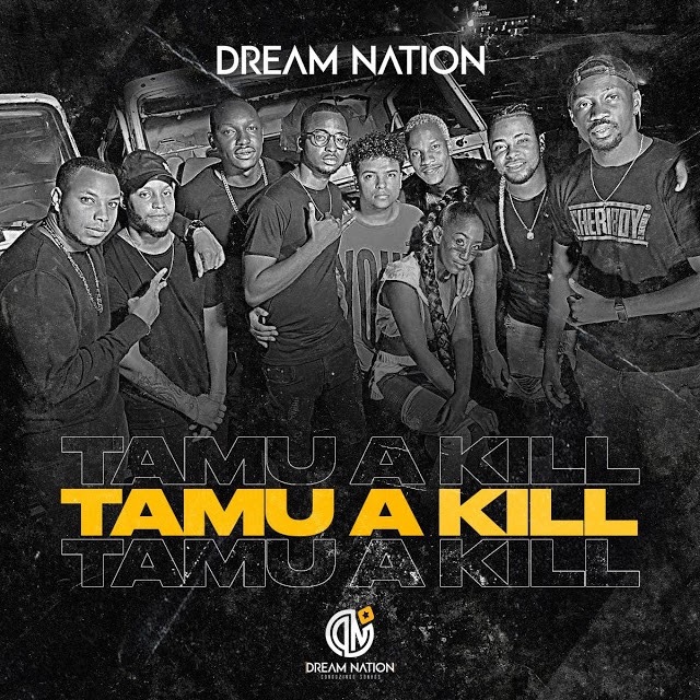 Dream Nation – Tamu a Kill (2020) DOWNLOAD MP3