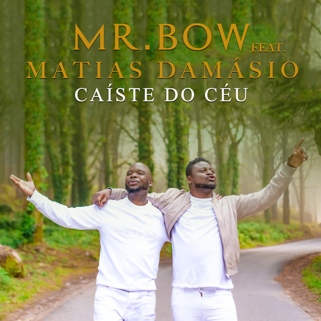 Mr. Bow Caíste do Céu feat. Matias Damásio