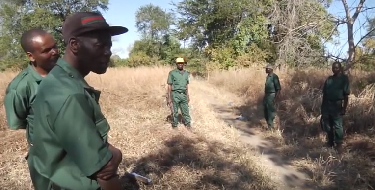 Financiadores da Junta Militar se encontram a residir na Beira