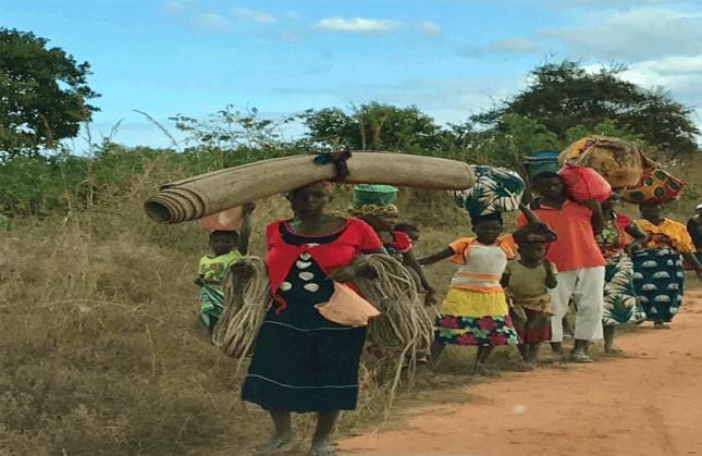 “Governo preocupado com movimentação de deslocados das zonas dos ataques de insurgentes de Cabo delgado” – PM