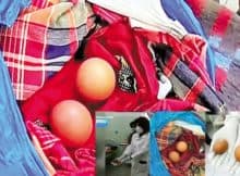 A mulher que “pariu” ovos afinal introduziu-os sozinha para ludibriar o marido