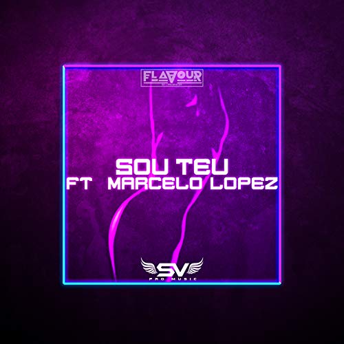 Dj Flavour – Sou Teu (feat. Marcelo Lopez) [2020] DOWNLOAD MP3