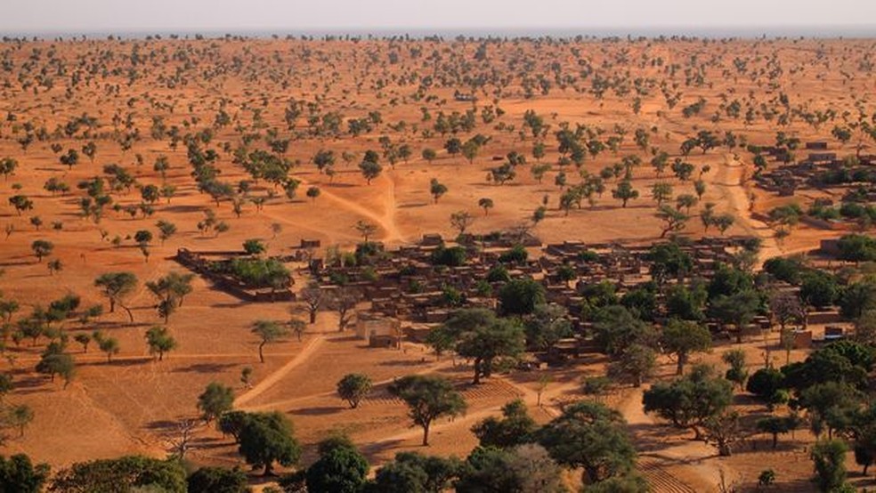 Pesquisadores descobrem centenas de milhões de árvores no deserto do Sahara