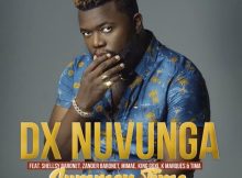 DX Nuvunga – Summer Time (feat. Shellsy Baronet, Zander Baronet, K Marques, Mimae, King Goxi & Tima) [2021] DOWNLOAD MP3