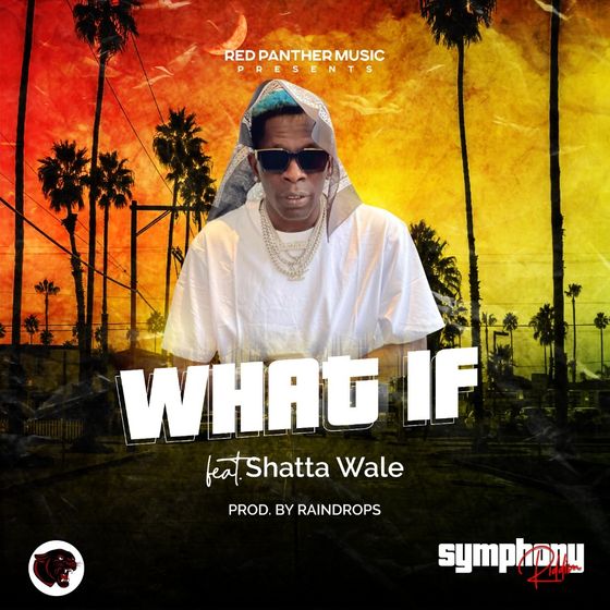 Shatta Wale – What If (2021) DOWNLOAD MP3