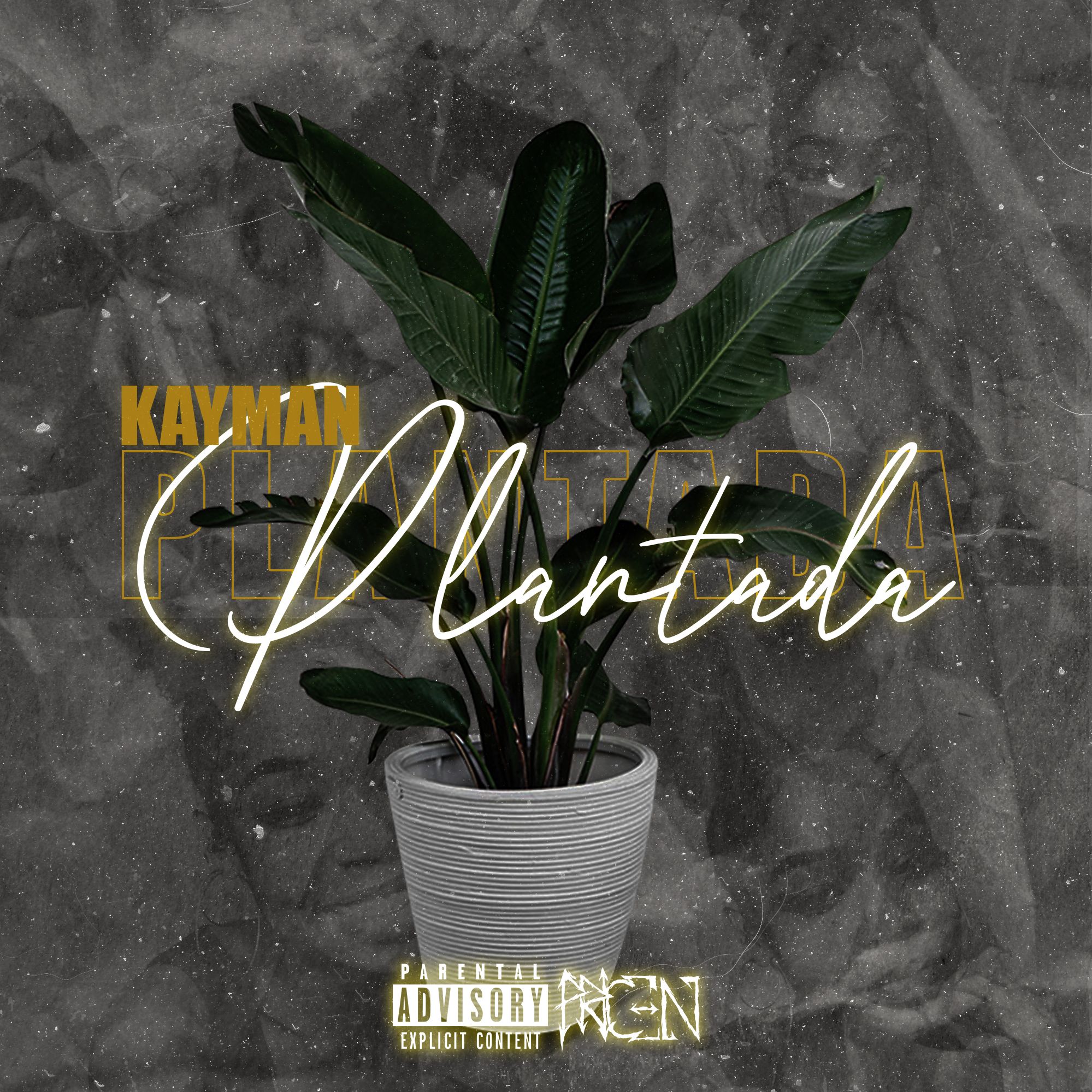 Kayman – Plantada (2021) DOWNLOAD MP3