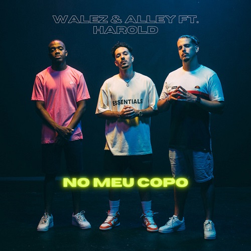 Walez Alley %E2%80%93 No Meu Copo feat. Harold