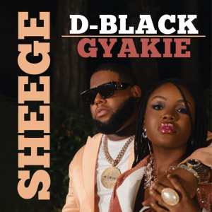 D Black Ft. Gyakie %E2%80%93 Sheege