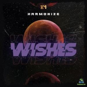 Harmonize %E2%80%93 Wishes