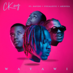 CKay – WATAWI (feat. Davido, Focalistic & Abidoza) [2022] DOWNLOAD MP3