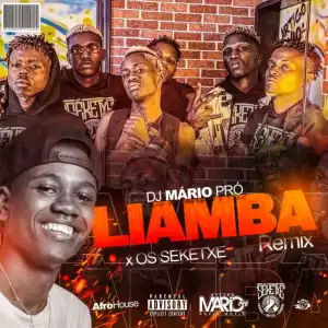 Dj Mário Pro – Liamba Remix (feat. Séketxe) [2022] DOWNLOAD MP3