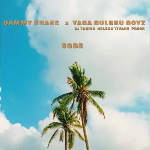 Dammy Krane – Egbe feat. Yaba Buluku Boyz (DJ Tarico, Preck & Nelson Tivane) [2022] DOWNLOAD MP3