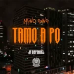 Latino Gang (Paulelson, Yuppie Supremo & BakaBaki) – Tamo A Po (2022) DOWNLOAD MP3