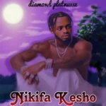 Diamond Platnumz – Nikifa Kesho (2023) DOWNLOAD MP3