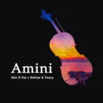 Mali B-flat, Mellow & Sleazy – Amini (2023) DOWNLOAD MP3
