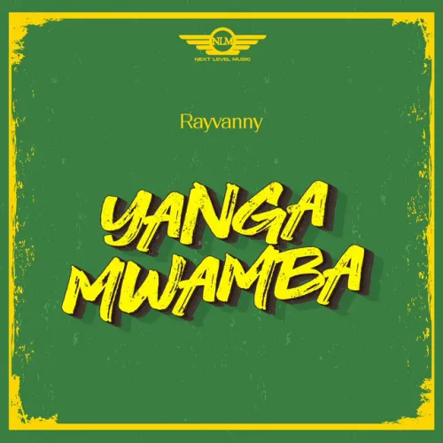 Rayvanny – Yanga Mwamba (2023) DOWNLOAD MP3