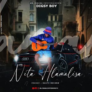 Digsy Boy %E2%80%93 Nita Hlamalisa