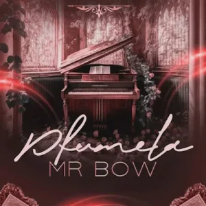 Mr. Bow Pfumela.webp