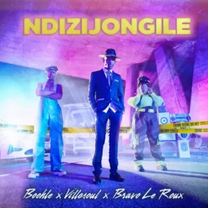 Boohle, Villosoul & Bravo Le Roux - Ndizijongile