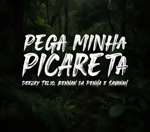 Deejay Telio, Rennan da Penha & Savanah - Pega Minha Picareta (feat. Selva Music & Baile da Selva Oficial)