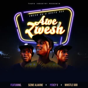 Zwesh SA & Busta 929 - Awe Zwesh (feat. Sizwe Alakine, Percy V & Whistle God)