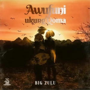 Big Zulu - Awufuni Ukung`Qoma