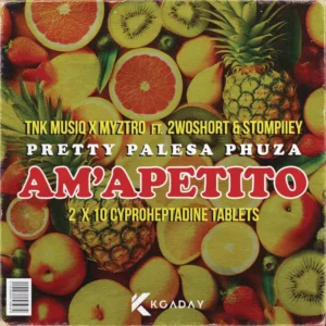 Xduppy, TNK MusiQ & Myztro - Amapetito (feat. 2woshort & Stompiiey)