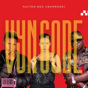 VYN CODE - Ngithanda Ubumnandi (feat. Mr Brown, Sdala B & PAIGE)