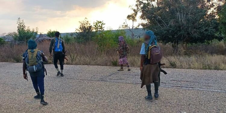 Terroristas saqueiam bens e destroem bancas na aldeia de Mopanha no distrito de Ancuabe