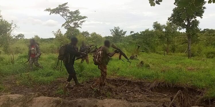 Terroristas mataram e incendiaram várias casas, igrejas e escolas em Eráti e Memba na província de Nampula