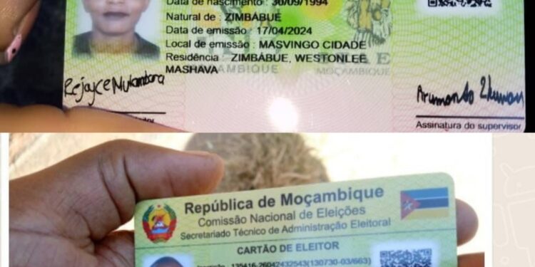 Malawianos, Zambianos e Zimbabueanos pretendem “votar na Frelimo” em outubro de 2024