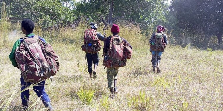 Nas últimas semanas, terroristas se movimentaram em cinco distritos de Cabo Delgado